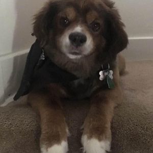 Meet your Posher, Jackie